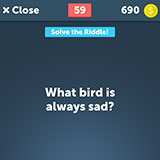  Bluejay 